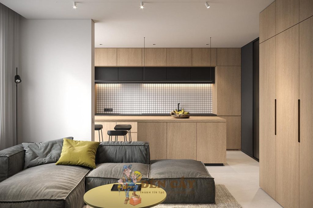 thiết kế nội thất chung cư mini 25m2